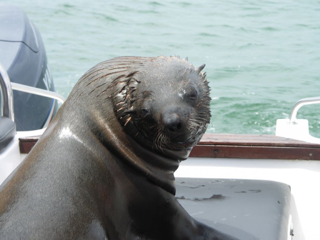 walvis bay